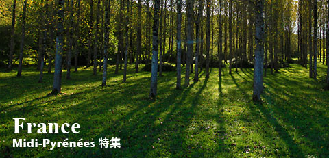 フランス ミディ・ピレネー地方の美しい田園風景